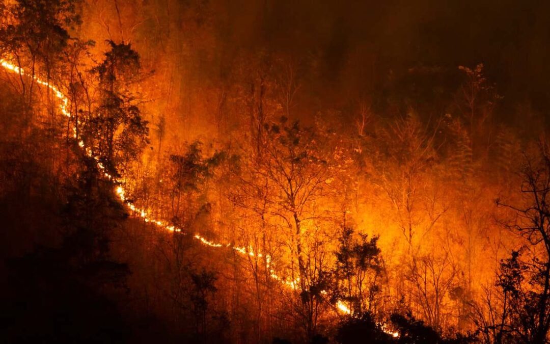 A Timeline Of The Unprecedented Wildfires In Los Angeles